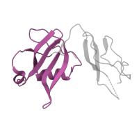 The deposited structure of PDB entry 5el4 contains 2 copies of Pfam domain PF01386 (Ribosomal L25p family) in Large ribosomal subunit protein bL25. Showing 1 copy in chain UA [auth H8].