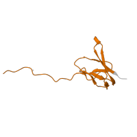 The deposited structure of PDB entry 5el4 contains 2 copies of Pfam domain PF01016 (Ribosomal L27 protein) in Large ribosomal subunit protein bL27. Showing 1 copy in chain XC [auth E5].