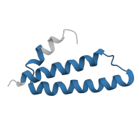 The deposited structure of PDB entry 5el4 contains 2 copies of Pfam domain PF00831 (Ribosomal L29 protein) in Large ribosomal subunit protein uL29. Showing 1 copy in chain ZC [auth G5].