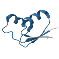 The deposited structure of PDB entry 5el4 contains 2 copies of Pfam domain PF00327 (Ribosomal protein L30p/L7e) in Large ribosomal subunit protein uL30. Showing 1 copy in chain AD [auth H5].