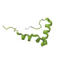 The deposited structure of PDB entry 5el4 contains 2 copies of Pfam domain PF00468 (Ribosomal protein L34) in Large ribosomal subunit protein bL34. Showing 1 copy in chain CD [auth L5].