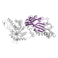 The deposited structure of PDB entry 5emk contains 1 copy of CATH domain 2.70.160.11 (Hnrnp arginine n-methyltransferase1) in Protein arginine N-methyltransferase 5. Showing 1 copy in chain A.