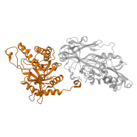 The deposited structure of PDB entry 5emk contains 1 copy of CATH domain 3.20.20.150 (TIM Barrel) in Protein arginine N-methyltransferase 5. Showing 1 copy in chain A.