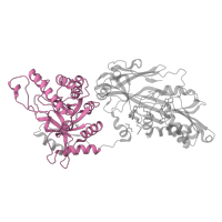 The deposited structure of PDB entry 5emk contains 1 copy of Pfam domain PF17285 (PRMT5 TIM barrel domain) in Protein arginine N-methyltransferase 5. Showing 1 copy in chain A.