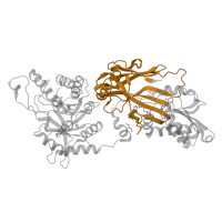 The deposited structure of PDB entry 5emk contains 1 copy of Pfam domain PF17286 (PRMT5 oligomerisation domain) in Protein arginine N-methyltransferase 5. Showing 1 copy in chain A.
