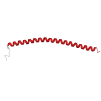 The deposited structure of PDB entry 5eof contains 2 copies of Pfam domain PF11577 (NF-kappa-B essential modulator NEMO) in Optineurin. Showing 1 copy in chain A.