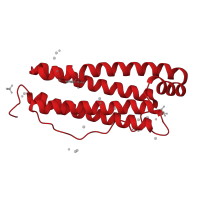 The deposited structure of PDB entry 5erj contains 1 copy of CATH domain 1.20.1260.10 (Ferritin) in Ferritin light chain. Showing 1 copy in chain A.
