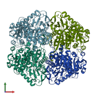 3D model of 5ery from PDBe