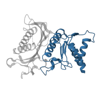 The deposited structure of PDB entry 5et7 contains 4 copies of CATH domain 3.40.190.80 (D-Maltodextrin-Binding Protein; domain 2) in Fructose-1,6-bisphosphatase isozyme 2. Showing 1 copy in chain A.