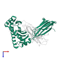 HLA class I histocompatibility antigen, A alpha chain in PDB entry 5eu5, assembly 1, top view.