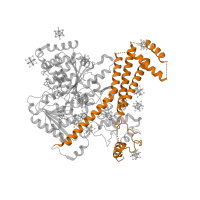 The deposited structure of PDB entry 5eul contains 1 copy of Pfam domain PF07516 (SecA Wing and Scaffold domain) in Protein translocase subunit SecA. Showing 1 copy in chain A.