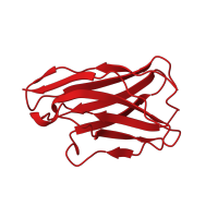 The deposited structure of PDB entry 5eul contains 1 copy of CATH domain 2.60.40.10 (Immunoglobulin-like) in AYC08. Showing 1 copy in chain D [auth V].