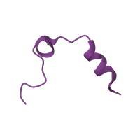 The deposited structure of PDB entry 5ew2 contains 1 copy of Pfam domain PF09396 (Thrombin light chain) in Thrombin light chain. Showing 1 copy in chain A [auth L].