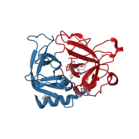 The deposited structure of PDB entry 5ew2 contains 2 copies of CATH domain 2.40.10.10 (Thrombin, subunit H) in Thrombin heavy chain. Showing 2 copies in chain B [auth H].