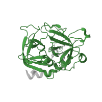 The deposited structure of PDB entry 5ew2 contains 1 copy of Pfam domain PF00089 (Trypsin) in Thrombin heavy chain. Showing 1 copy in chain B [auth H].