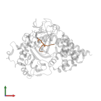 Vascular endothelial growth factor receptor 1 in PDB entry 5ex3, assembly 1, front view.