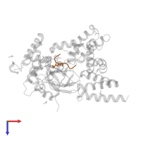 Vascular endothelial growth factor receptor 1 in PDB entry 5ex3, assembly 1, top view.