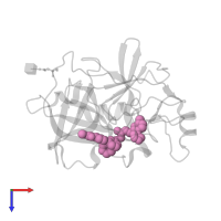 methyl ~{N}-[4-[2-[(1~{S})-1-[[(~{E})-3-[5-chloranyl-2-(1,2,3,4-tetrazol-1-yl)phenyl]prop-2-enoyl]amino]-2-phenyl-ethyl]pyridin-4-yl]phenyl]carbamate in PDB entry 5exn, assembly 1, top view.