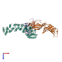 Hetero tetrameric assembly 1 of PDB entry 5f0p coloured by chemically distinct molecules, top view.