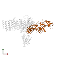 Vacuolar protein sorting-associated protein 26A in PDB entry 5f0p, assembly 1, front view.