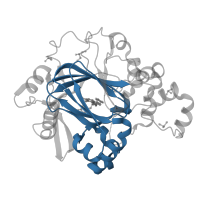 The deposited structure of PDB entry 5f3c contains 4 copies of Pfam domain PF02373 (JmjC domain, hydroxylase) in Lysine-specific demethylase 4A. Showing 1 copy in chain A.