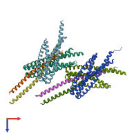 PDB entry 5f5p coloured by chain, top view.