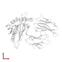 Peptide G11N in PDB entry 5f7d, assembly 1, front view.