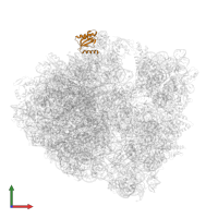 Large ribosomal subunit protein uL18 in PDB entry 5f8k, assembly 2, front view.