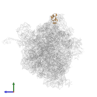 Large ribosomal subunit protein uL18 in PDB entry 5f8k, assembly 2, side view.