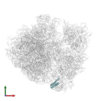 Small ribosomal subunit protein bS20 in PDB entry 5f8k, assembly 2, front view.