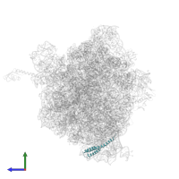 Small ribosomal subunit protein bS20 in PDB entry 5f8k, assembly 2, side view.