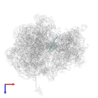 Small ribosomal subunit protein bS20 in PDB entry 5f8k, assembly 2, top view.