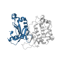 The deposited structure of PDB entry 5f9e contains 2 copies of CATH domain 3.30.200.20 (Phosphorylase Kinase; domain 1) in Protein kinase C theta type. Showing 1 copy in chain A.