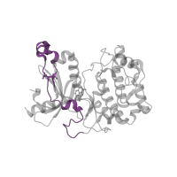 The deposited structure of PDB entry 5f9e contains 2 copies of Pfam domain PF00433 (Protein kinase C terminal domain) in Protein kinase C theta type. Showing 1 copy in chain A.