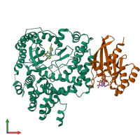 PDB entry 5fbq coloured by chain, front view.