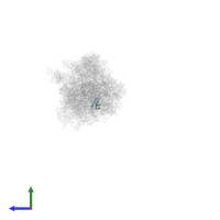 Small ribosomal subunit protein uS15 in PDB entry 5fci, assembly 2, side view.