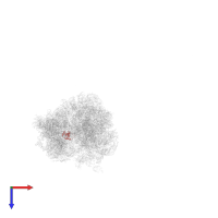 Small ribosomal subunit protein uS19 in PDB entry 5fci, assembly 2, top view.