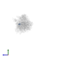 Large ribosomal subunit protein eL6A in PDB entry 5fci, assembly 2, side view.