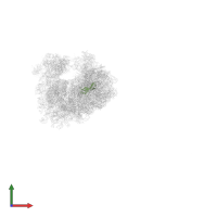 Large ribosomal subunit protein uL6A in PDB entry 5fci, assembly 2, front view.