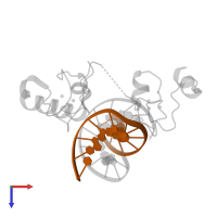 DNA (5'-D(*GP*AP*GP*TP*TP*TP*GP*AP*AP*AP*CP*T)-3') in PDB entry 5fd3, assembly 1, top view.