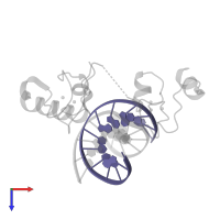 DNA (5'-D(*CP*AP*GP*TP*TP*TP*CP*AP*AP*AP*CP*TP*C)-3') in PDB entry 5fd3, assembly 1, top view.