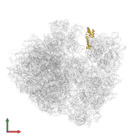 Small ribosomal subunit protein uS13 in PDB entry 5fdu, assembly 2, front view.
