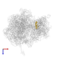 Small ribosomal subunit protein uS13 in PDB entry 5fdu, assembly 2, top view.