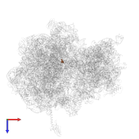 Modified residue OMU in PDB entry 5fdu, assembly 2, top view.