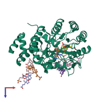 PDB entry 5few coloured by chain, top view.
