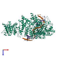 Hetero trimeric assembly 1 of PDB entry 5ffj coloured by chemically distinct molecules, top view.