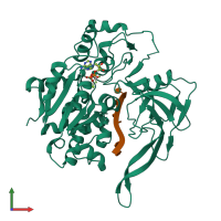 PDB entry 5fhe coloured by chain, front view.