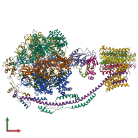 PDB entry 5fik coloured by chain, front view.