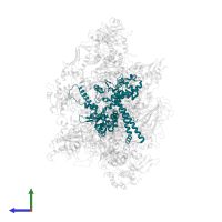 DNA-directed RNA polymerase III subunit RPC3 in PDB entry 5fj8, assembly 1, side view.