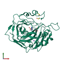 PDB entry 5flr coloured by chain, front view.